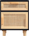 vidaXL - Nachtkastjes - 2 - st - massief - grenenhout - en - natuurlijk - rattan - zwart