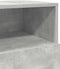 vidaXL - Nachtkastjes - 2 - st - met - 2 - lades - 36x36x68 - cm - betongrijs