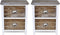 vidaXL - Nachtkastjes - 2 - st - met - 2 - lades - bruin - en - wit