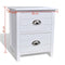 vidaXL - Nachtkastjes - 2 - st - met - 2 - lades - wit