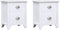 vidaXL - Nachtkastjes - 2 - st - met - 2 - lades - wit