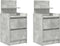 vidaXL - Nachtkastjes - met - 2 - lades - 2 - st - 38x34x80 - cm - betongrijs