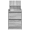 vidaXL - Nachtkastjes - met - 2 - lades - 2 - st - 38x34x80 - cm - grijs - sonoma