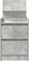 vidaXL - Nachtkastjes - met - 2 - lades - 2 - st - 38x34x80 - cm - betongrijs