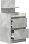 vidaXL - Nachtkastjes - met - 2 - lades - 2 - st - 38x34x80 - cm - betongrijs