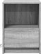 vidaXL - Nachtkastjes - met - LED-verlichting - 2 - st - bewerkt - hout - grijs - sonoma