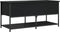 vidaXL - Opbergbankje - 100x42,5x47 - cm - bewerkt - hout - zwart