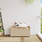 vidaXL - Opbergbankje - 100x50x52 - cm - poly - rattan - acaciahout - gemengd - beige