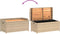 vidaXL - Opbergbankje - 100x50x52 - cm - poly - rattan - acaciahout - gemengd - beige