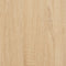 vidaXL - Opbergbankje - 102x42x46 - cm - bewerkt - hout - sonoma - eikenkleurig
