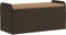 vidaXL - Opbergbankje - met - kussen - 115x51x52 - cm - poly - rattan - bruin