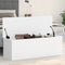 vidaXL - Opbergbox - 102x35x35 - cm - bewerkt - hout - wit