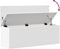 vidaXL - Opbergbox - 102x35x35 - cm - bewerkt - hout - wit