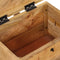 vidaXL - Opbergbox - 39x28x31 - cm - massief - mangohout