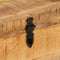vidaXL - Opbergbox - 39x28x31 - cm - massief - mangohout