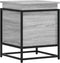 vidaXL - Opbergbox - met - deksel - 40x40x51,5 - cm - bewerkt - hout - grijs - sonoma