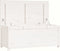 vidaXL - Opbergbox - wit - 110x50x45,5 - cm - massief - grenenhout
