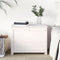 vidaXL - Opbergbox - wit - 60x32x45,5 - cm - massief - grenenhout