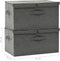 vidaXL - Opbergboxen - 2 - st - 50x30x25 - cm - stof - antracietkleurig