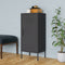 vidaXL - Opbergkast - 42,5x35x101,5 - cm - staal - antracietkleurig