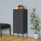 vidaXL - Opbergkast - 42,5x35x101,5 - cm - staal - antracietkleurig