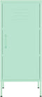 vidaXL - Opbergkast - 42,5x35x101,5 - cm - staal - mint