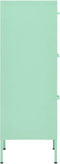 vidaXL - Opbergkast - 42,5x35x101,5 - cm - staal - mint