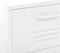 vidaXL - Opbergkast - 42,5x35x101,5 - cm - staal - wit