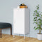 vidaXL - Opbergkast - 42,5x35x101,5 - cm - staal - wit