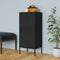 vidaXL - Opbergkast - 42,5x35x101,5 - cm - staal - zwart