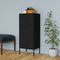 vidaXL - Opbergkast - 42,5x35x101,5 - cm - staal - zwart
