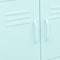 vidaXL - Opbergkast - 60x35x56 - cm - staal - mint