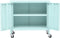 vidaXL - Opbergkast - 60x35x56 - cm - staal - mint