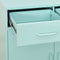 vidaXL - Opbergkast - 80x35x101,5 - cm - staal - mint