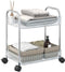vidaXL - Opbergtrolley - 2-laags - 37x28x43,5 - cm - acryl - transparant