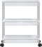 vidaXL - Opbergtrolley - 3 - laags - aluminium - zilverkleurig - en - wit