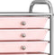 vidaXL - Opbergtrolley - met - 10 - lades - mobiel - kunststof - ombre - roze