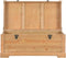vidaXL - Opslagkist - met - kussen - 80x40x40 - cm - MDF