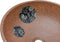 vidaXL - Opzetwasbak - rond - Φ41x14 - cm - keramiek - bruin - en - blauw