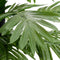 vidaXL - Palmboom - LED - 252 - LED's - warmwit - 400 - cm