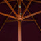 vidaXL - Parasol - met - houten - paal - 200x300 - cm - bordeauxrood