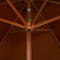 vidaXL - Parasol - met - houten - paal - 200x300 - cm - terracottakleurig