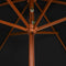 vidaXL - Parasol - met - houten - paal - 200x300 - cm - zwart