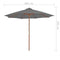vidaXL - Parasol - met - houten - paal - 300 - cm - antraciet