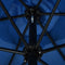 vidaXL - Parasol - met - metalen - paal - 300x200 - cm - zwart