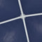 vidaXL - Partytent - 2x2 - m - blauw