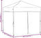 vidaXL - Partytent - inklapbaar - met - zijwanden - 2x2 - m - zwart