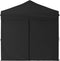 vidaXL - Partytent - inklapbaar - met - zijwanden - 2x2 - m - zwart
