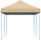 vidaXL - Partytent - inklapbaar - pop-up - 580x292x315 - cm - beige