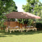 vidaXL - Partytent - inklapbaar - pop-up - 580x292x315 - cm - bruin